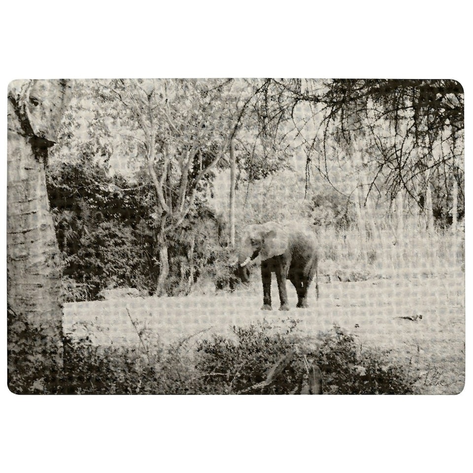 image 1 of Elephant jungle (Rug) Grey | Small: 60x110cm