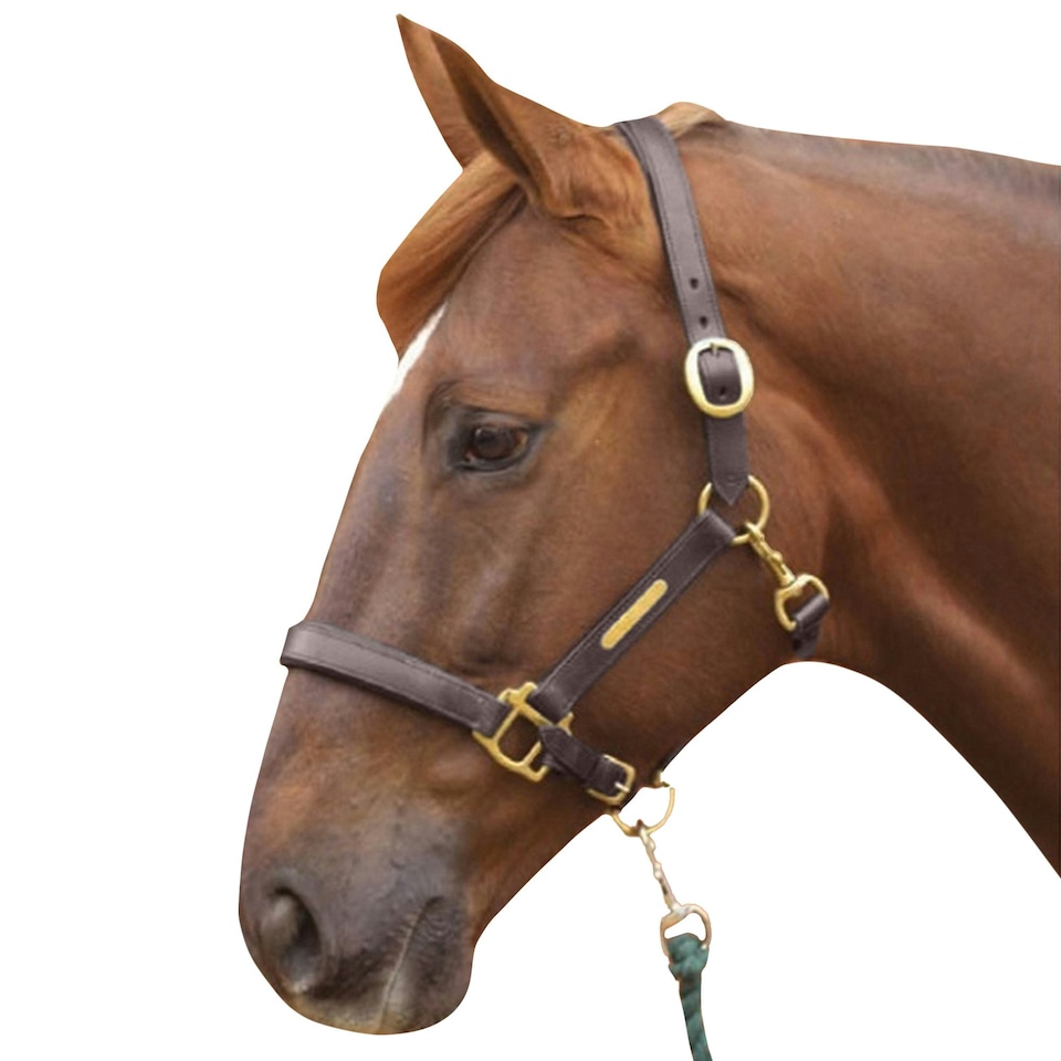 image 1 of Hy Leather Head Collar - Brown - Cob
