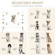 image 7 of PawHut 4 Pieces Dog Agility Training Equipment with Carrying Bag, White