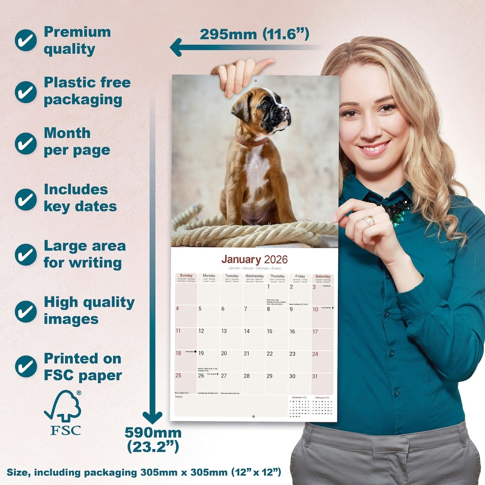 image 1 of Boxer 2026 Calendar | Square Wall Calendar | Dog Breed Gift | Plastic Free Packaging | by Avonside Publishing