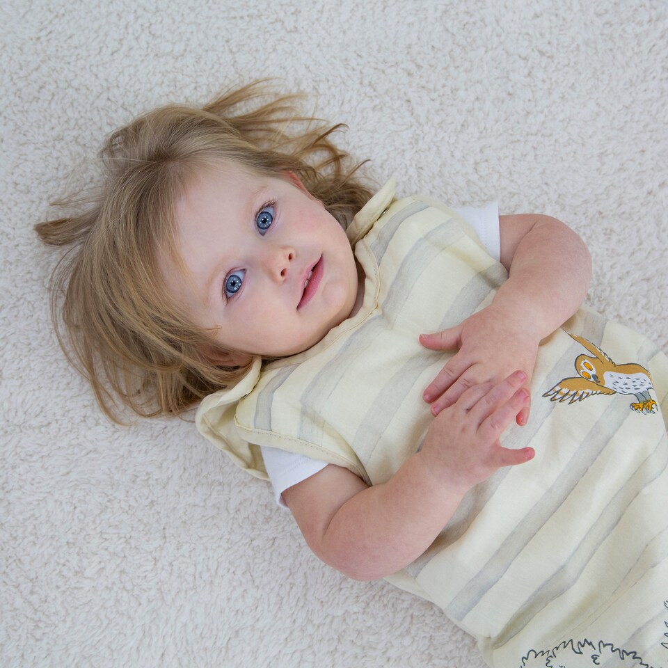 image 1 of The Gruffalo My First Sleep Sack 6-18 Months