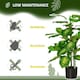 image 10 of HOMCOM 95cm Artificial Evergreen Tree Fake Plant in Pot Indoor Decor