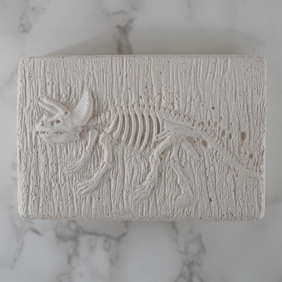image 1 of The Magic Toy Shop Dinosaur Fossils Digging Excavation Kit Glow in the Dark Science Toy