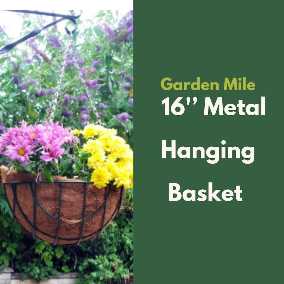 image 1 of Marco Paul Black Metal Hanging Basket 16" Black