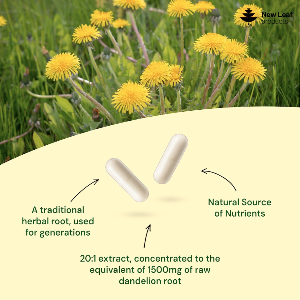 image 1 of Dandelion Root High Strength 120 Capsules, 1500mg P/S, 2-Months Supply