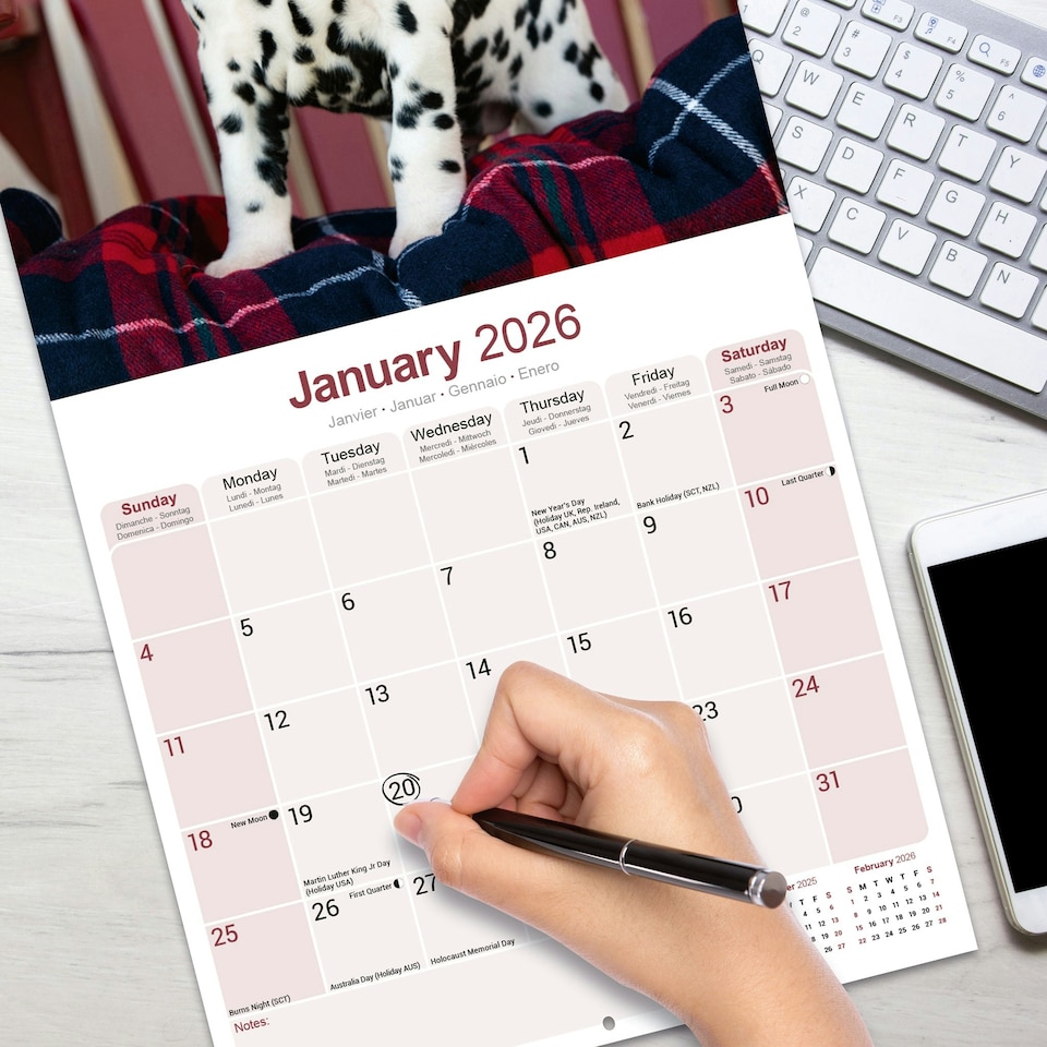 image 1 of Dalmatian 2026 Calendar | Square Wall Calendar | Dog Breed Gift | Plastic Free Packaging | by Avonside Publishing