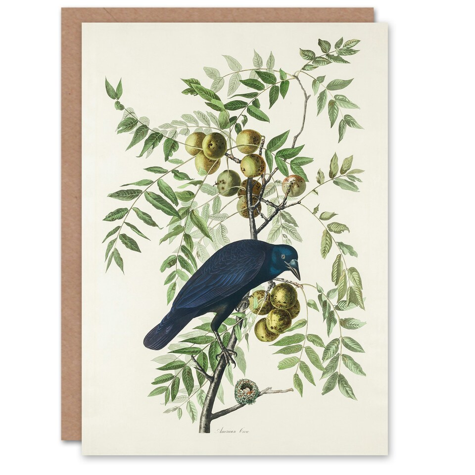image 1 of John James Audubon Art Card American Crow on Walnut Tree