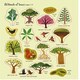 image 2 of First Sticker Book Trees - PAPERBACK - 18D Kids Activity & Sticker - Usborne (HC) - 9781474998925