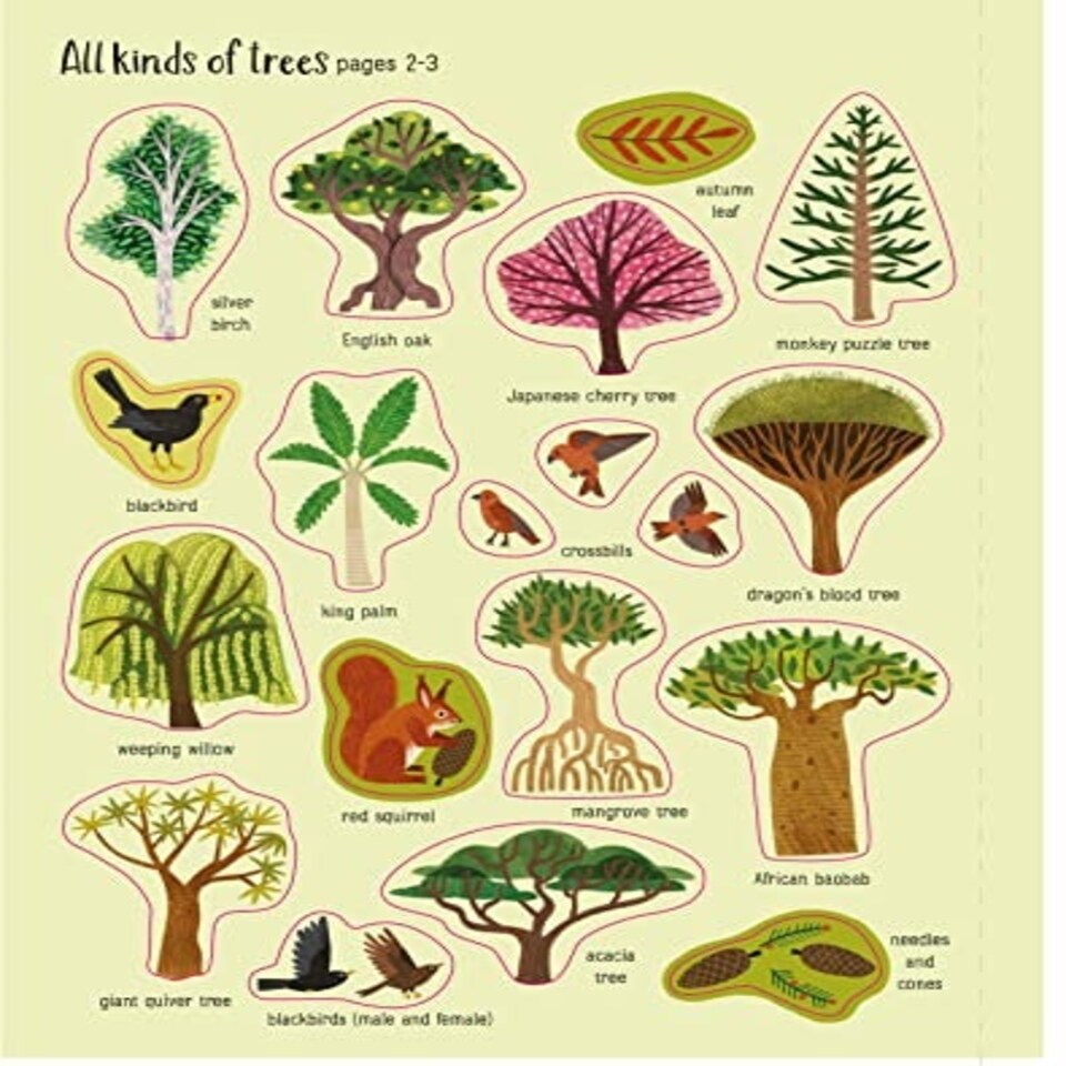image 1 of First Sticker Book Trees - PAPERBACK - 18D Kids Activity & Sticker - Usborne (HC) - 9781474998925