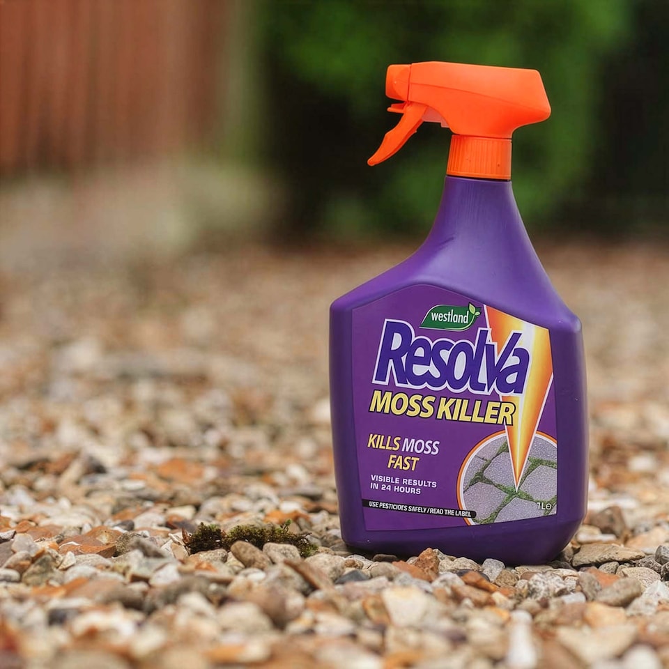 image 1 of Resolva Moss Killer Spray Ready-to-Use 3 Litre