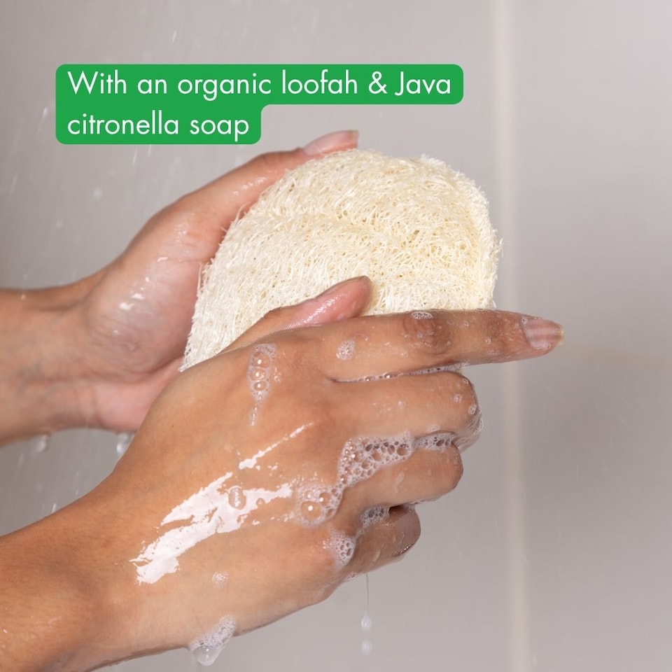 image 1 of incognito Luxury Loofah Soap