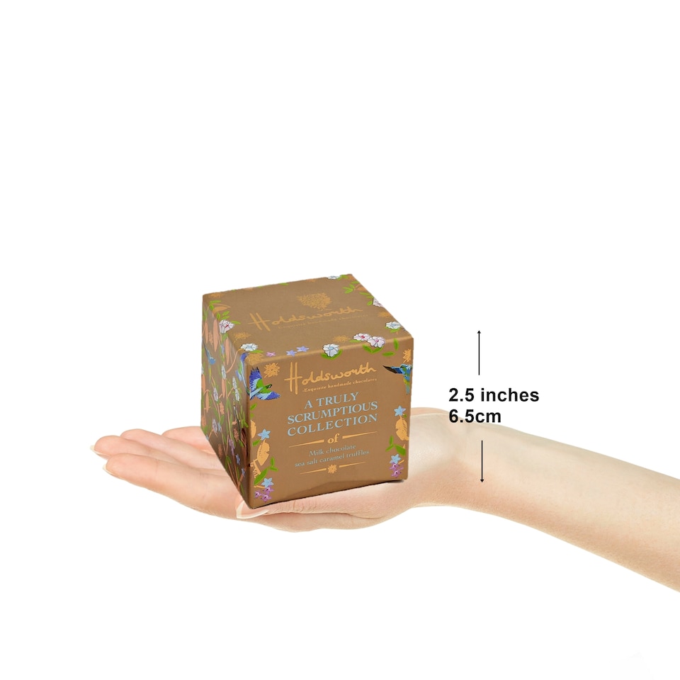image 1 of Holdsworth Chocolates Truly Scrumptious Sea Salt Caramel Truffles 55g
