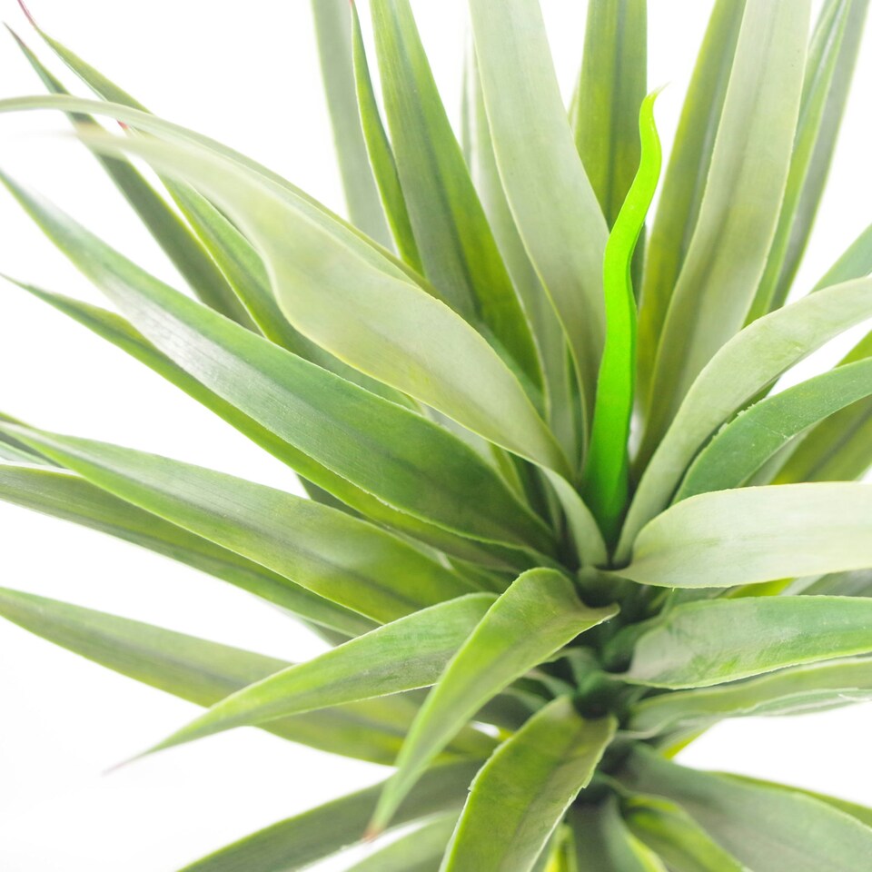image 1 of 90cm (3ft) Large Artificial Green Yukka Plant Spiky Tree Plant Green | One Size