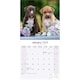 image 3 of American Pit Bull Terrier 2026 Calendar | Square Wall Calendar | Dog Breed Gift | Plastic Free Packaging | by Avonside Publishing
