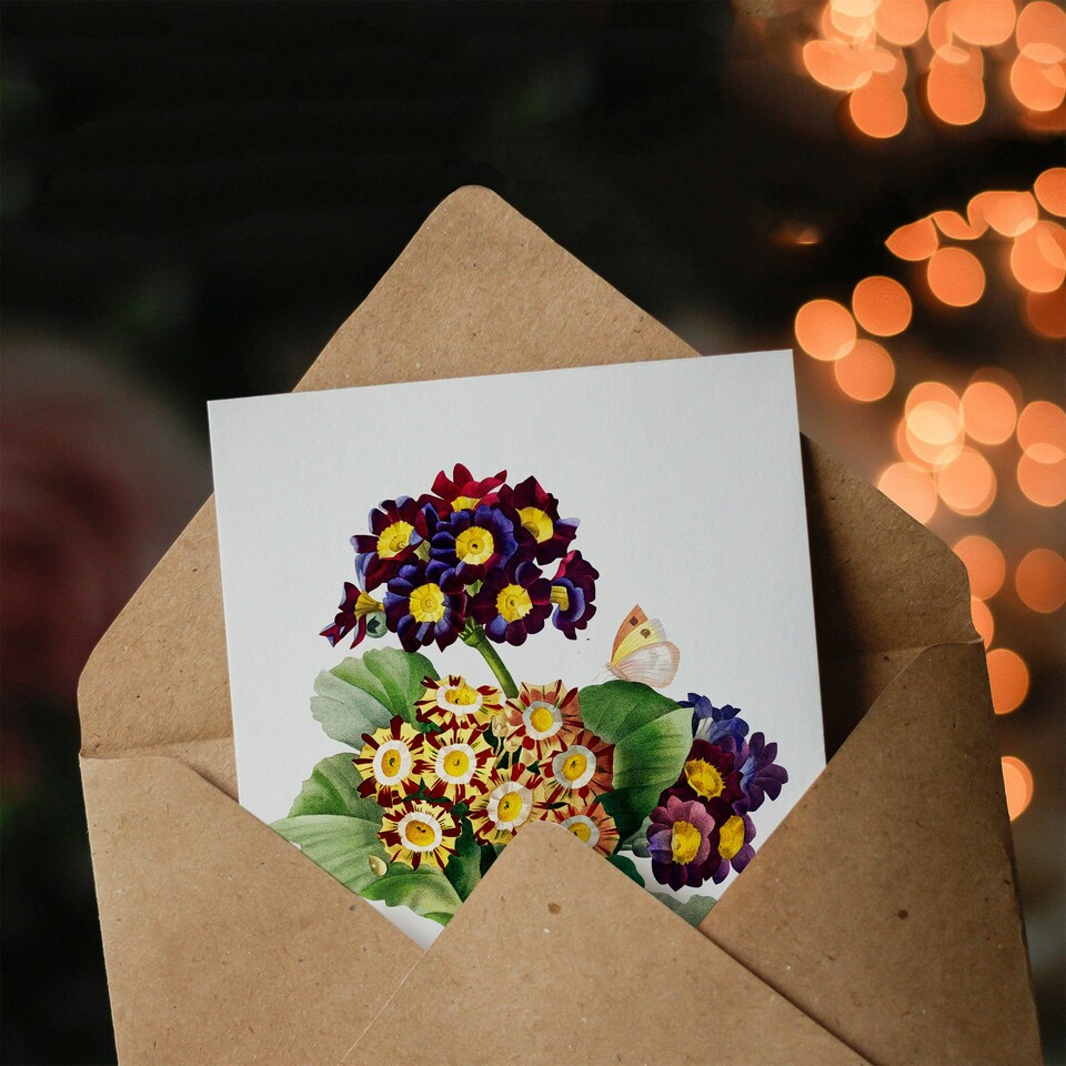 image 1 of Pierre-Joseph Redouté Art Card Primrose Flowers Vintage Floral