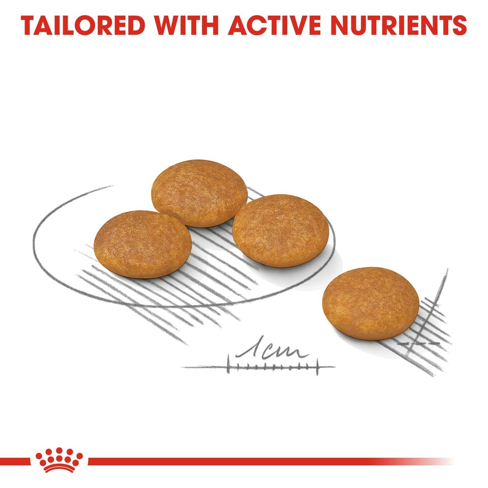 image 1 of ROYAL CANIN® Mini Dermacomfort Adult Dry Dog Food N/A | Size: 3kg