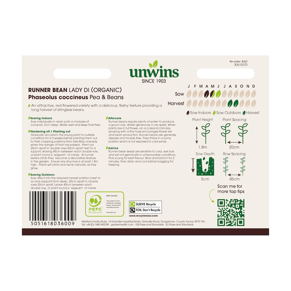 image 1 of Runner Bean Lady Di (Organic) | Multi | Green, Red