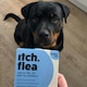 image 5 of Itch Flea Medium Dog Flea & Tick Spot On Treatment 3 Pipette (10-20kg)
