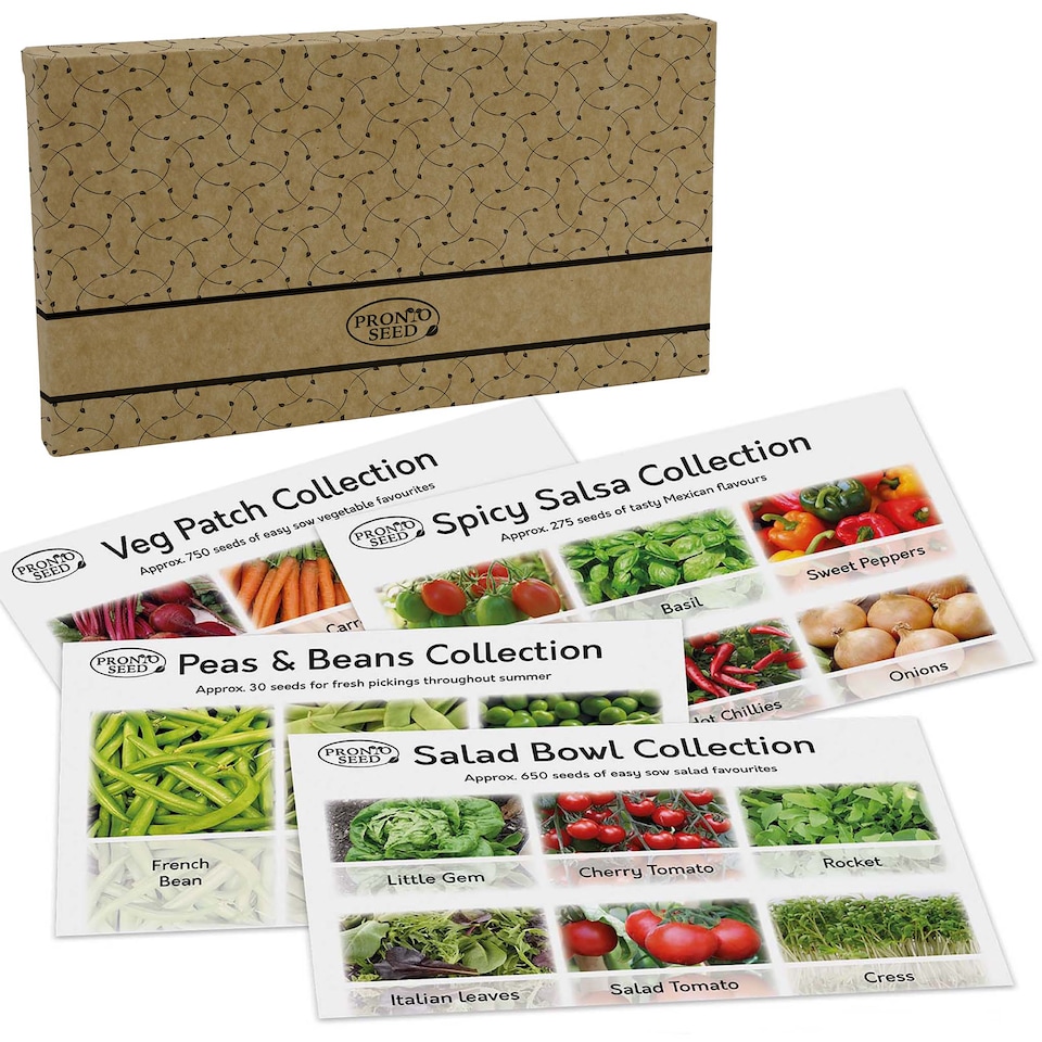 image 1 of Pronto Seed Vegetable Seeds Bumper Pack - 21 Popular Varieties, Over 1,700 Seeds for Growing Your Own Veg