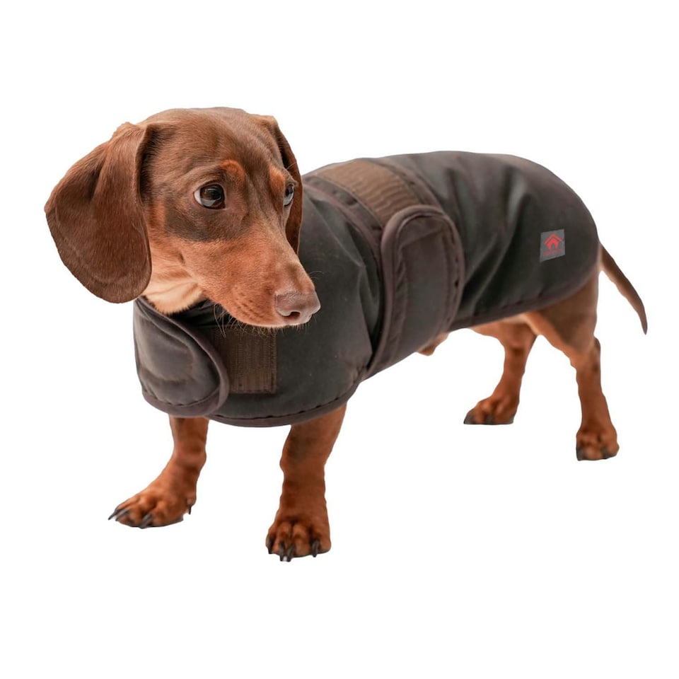 Firefoot Dachshund Waxed Dog Coat - Brown - 30cm