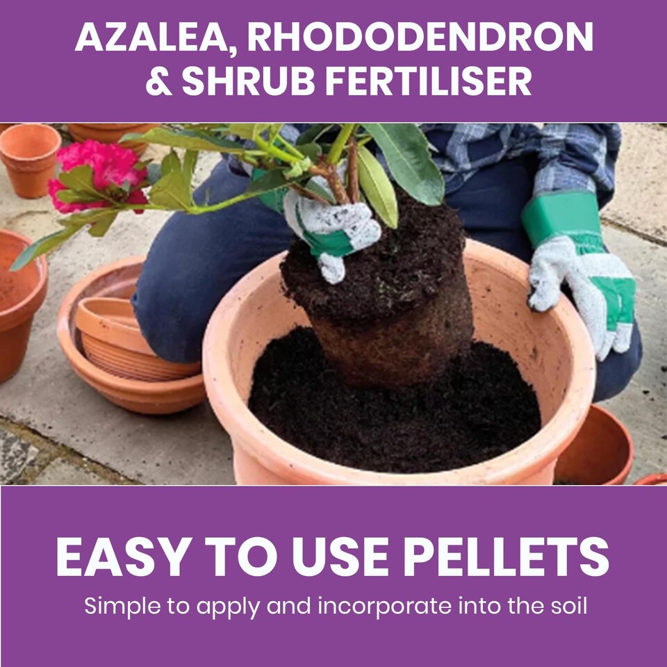 image 1 of language Vitax Azalea Rhododendron & Shrub Fertiliser 0.9kg Organic Acid-Loving Plant Feed for Healthy Growth & Blooms