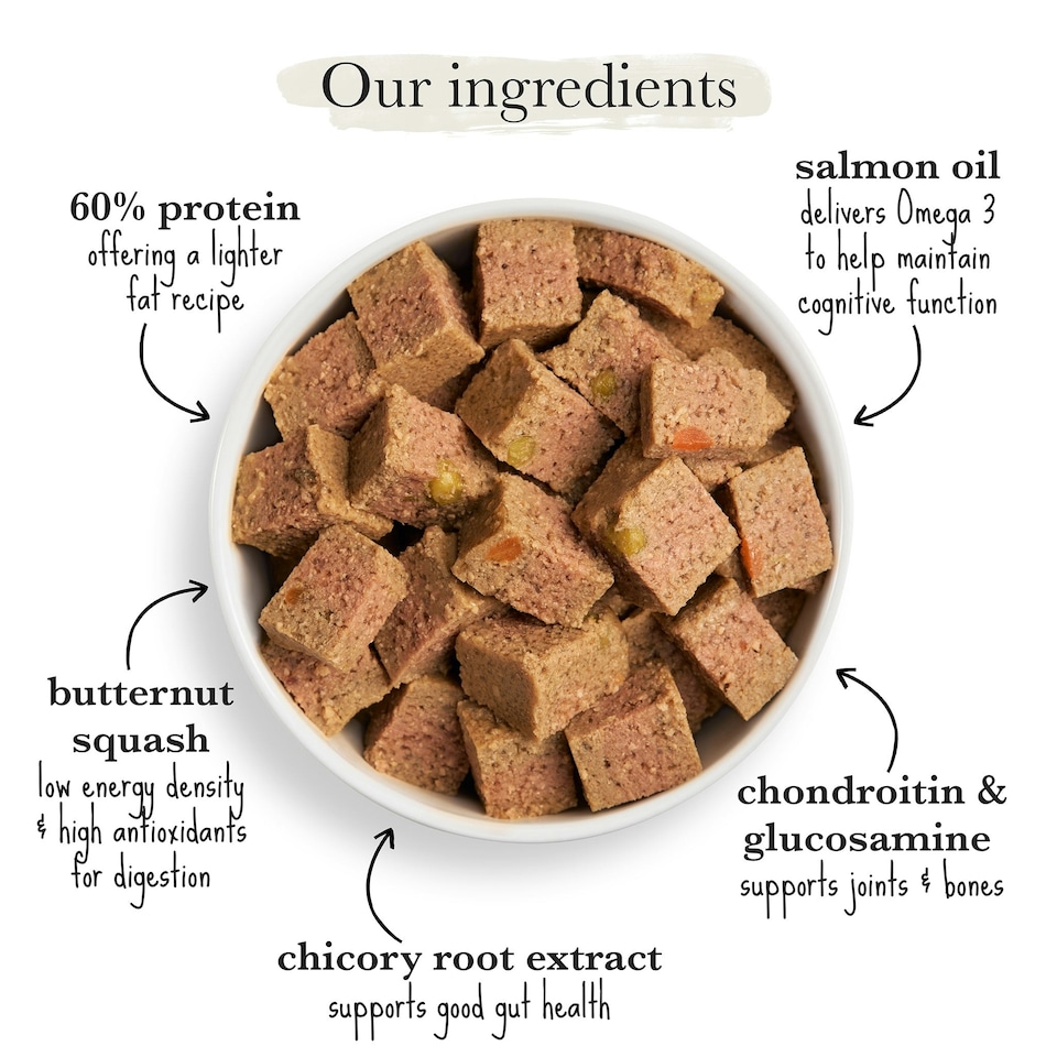 image 1 of Senior Lamb & Butternut Squash Wet Dog Food (18x395g)