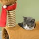 image 8 of PawHut Cat Tree 98cm Deer-Designed Scratching Post with Ball Tunnel, Brown