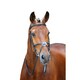 image 2 of Salisbury Brackley Leather Horse Bridle - Black - Pony