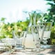 image 2 of La Rochere Bee Stemmed Glass 240ml