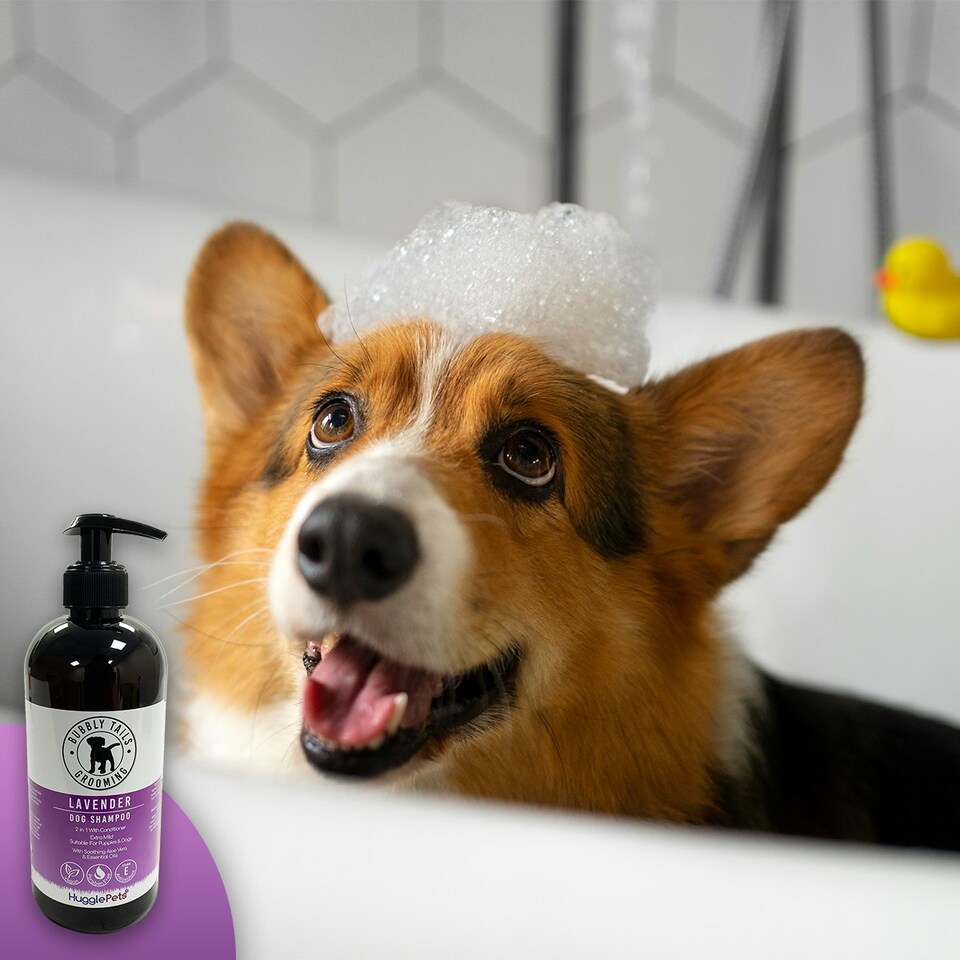 image 1 of HugglePets Bubbly Tails Dog Shampoo - Lavender