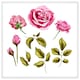 image 1 of Roses & leaves (Picutre Frame) White | S