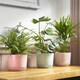 image 2 of Duck Egg Blue Ceramic Indoor Plant Pot With Attached Saucer - H10.5cm