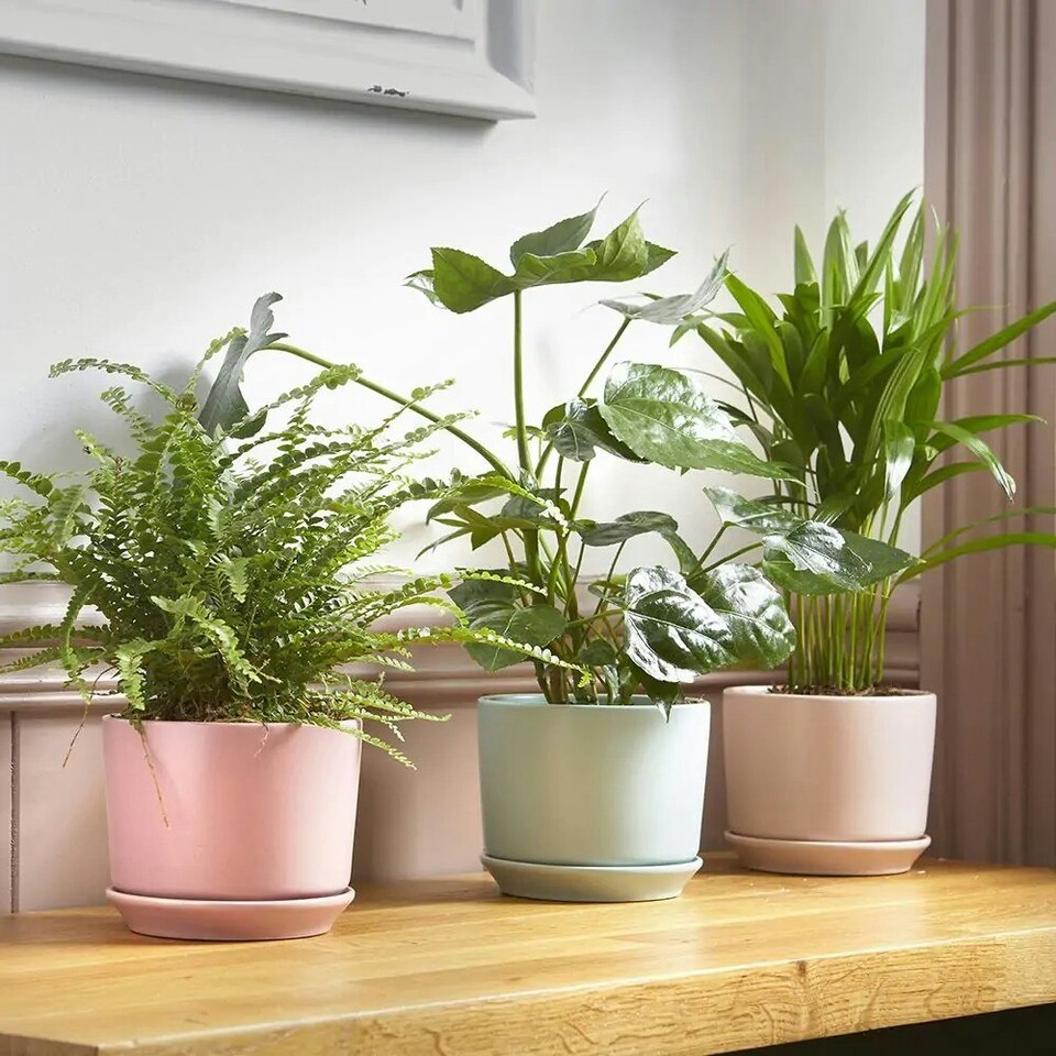 image 1 of Duck Egg Blue Ceramic Indoor Plant Pot With Attached Saucer - H10.5cm