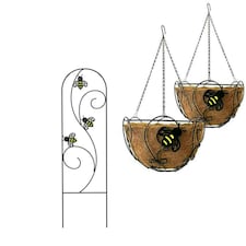 Primrose Bee-Conscious Hanging Basket Twin-Pack and Trellis Plant 35cm
