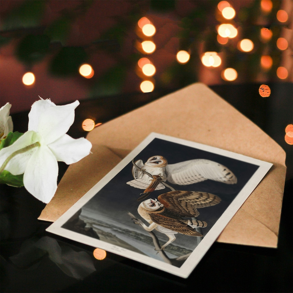 image 1 of John James Audubon Art Card Birds of America Barn Owl