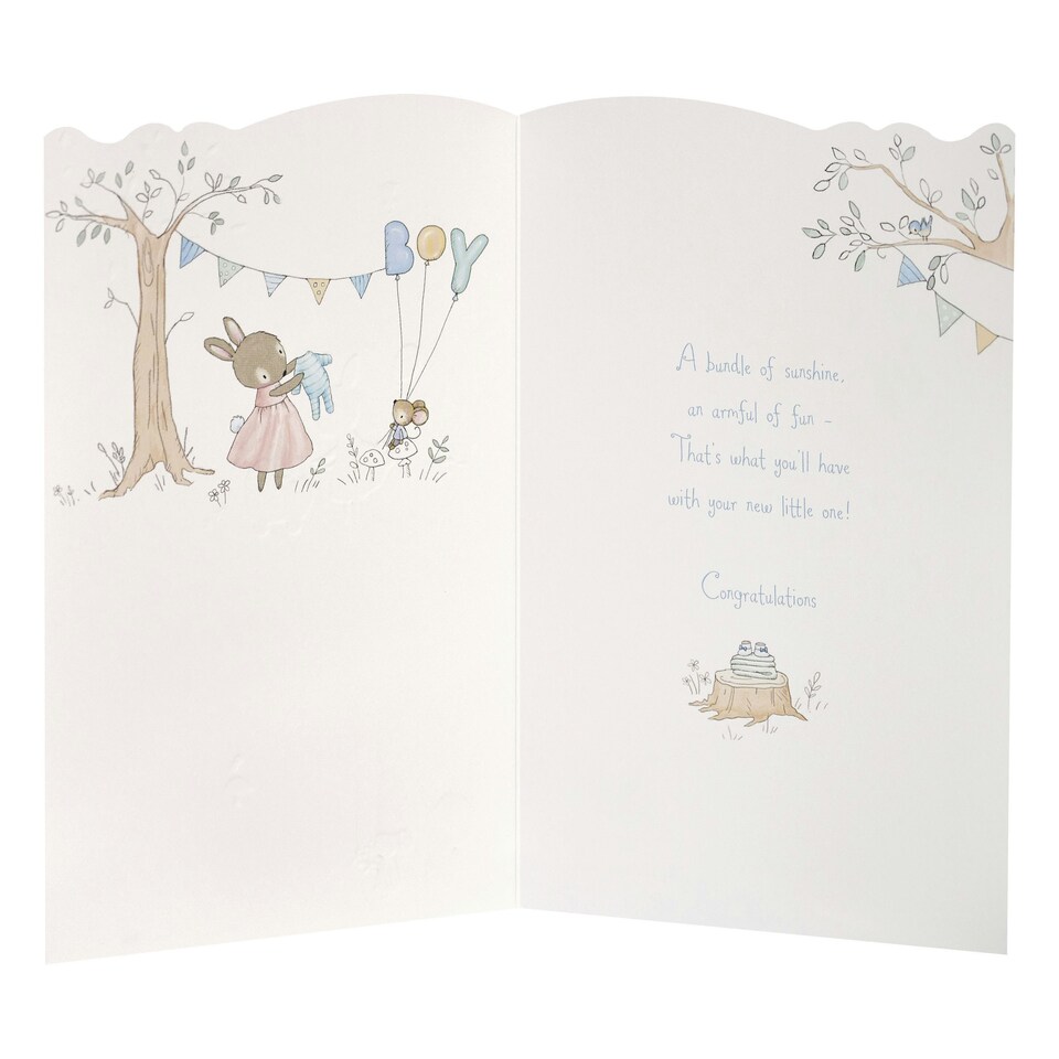 image 1 of Boy Birth Congratulations Card - Cute Animals