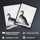 image 2 of Wood Duck Vintage Bird Oil Painting Schouman Framed Wall Art Print 12X16"