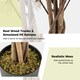 image 6 of COSTWAY 120cm Artificial Bougainvillea Tree Plant White White | One Size