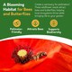 image 4 of Poppy Flower Seeds - Papaver Rhoeas, Field Poppy - 10g