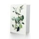 image 2 of John James Audubon Art Card Warbling Flycatcher and Magnolia Flowers