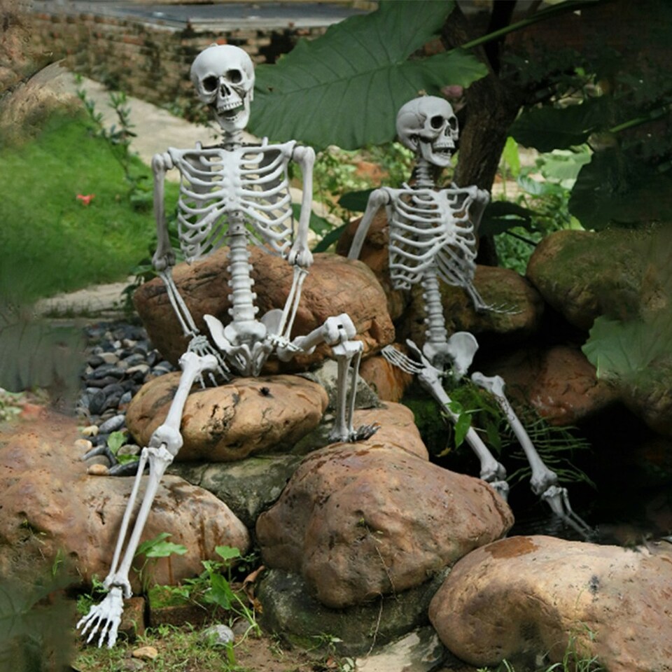 image 1 of Living and Home Halloween Realistic Full Body Skeleton  Posable Prop - 90cm