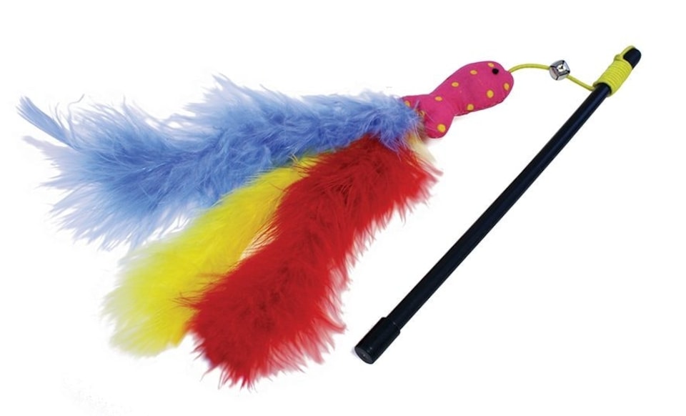 Cat n Caboodle Carnival Fish Cat Teaser
