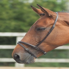 Shires Blenheim Flash Noseband Brown | Size: Full
Colour: H.Brown