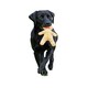 image 2 of Benji & Flo Gingerbread Man Christmas Dog Toy - Brown/Blue/Yellow - One Size