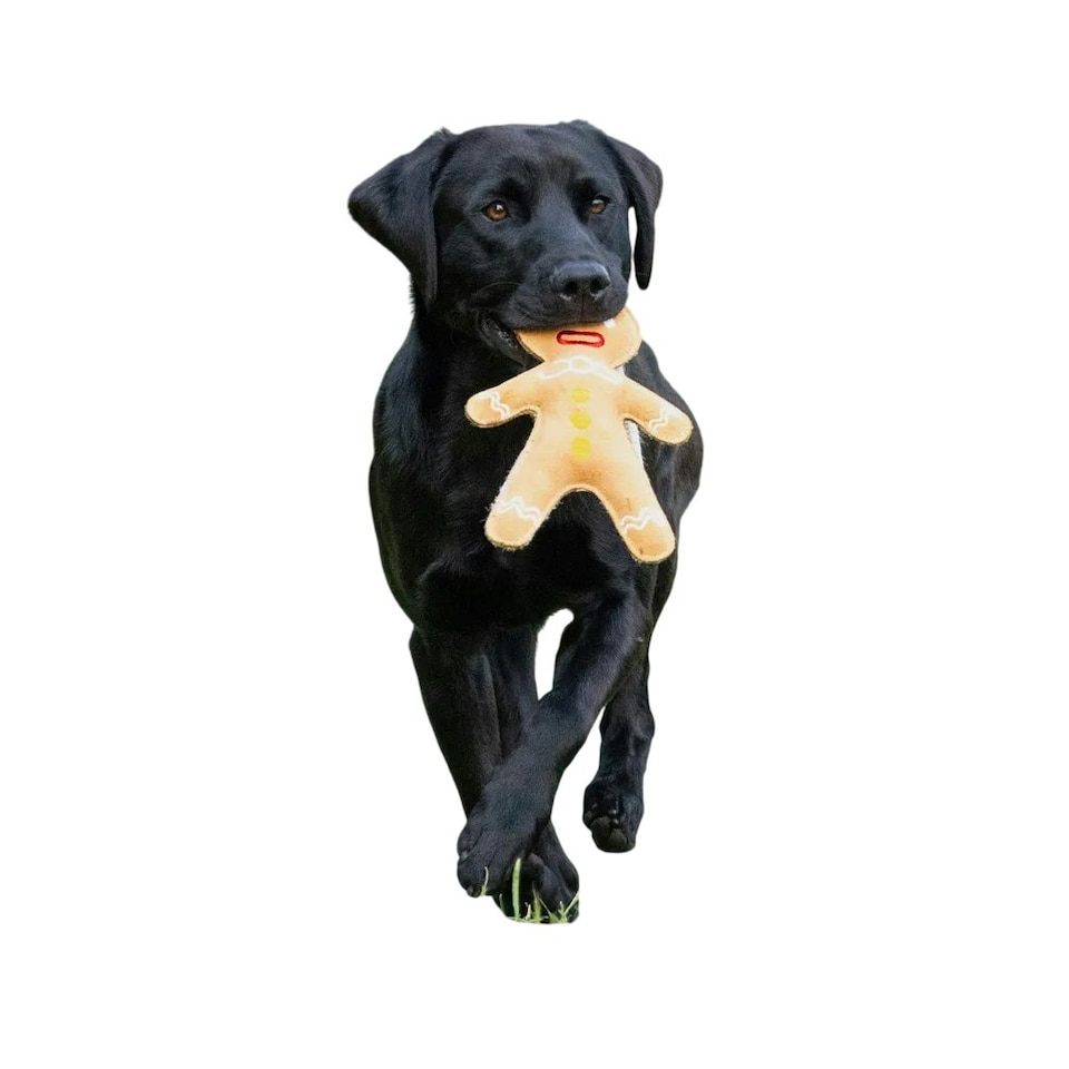 image 1 of Benji & Flo Gingerbread Man Christmas Dog Toy - Brown/Blue/Yellow - One Size