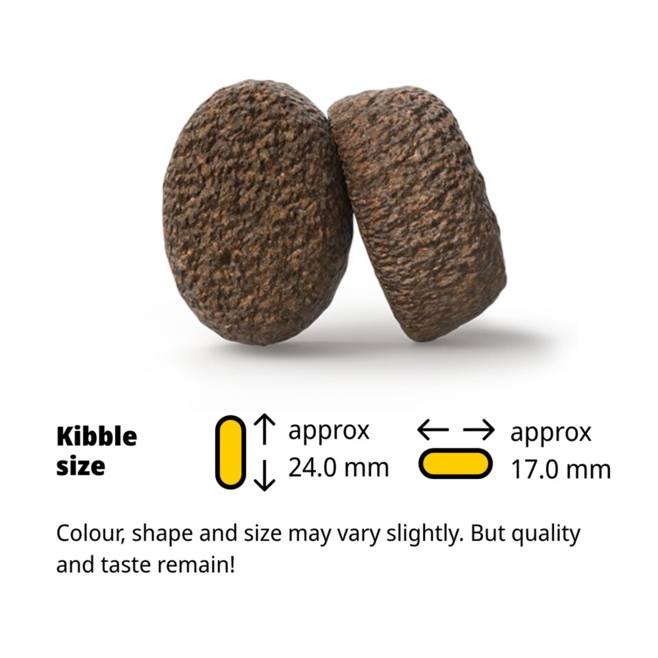 image 1 of Josera Adult Optiness complete dog food | With Chicken & Lamb | Medium & large breeds | Cardiac support | Joint support | Green-Lipped Mussel Meat | 3kg
