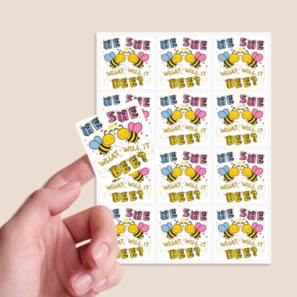 image 1 of What Will it Bee Gender Reveal Square Stickers 65mm - Sheet of 12