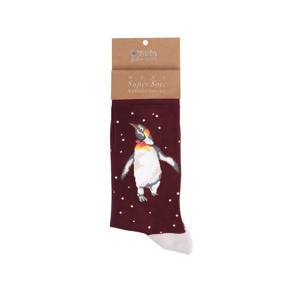 image 1 of Wrendale Designs Illustrated Animal Socks for Men - Bamboo, UK 7-11