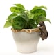 image 4 of Brown Bear Plant Pot Hanger - L10.5 x W5 x H6.5 cm | Bronze