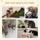image 6 of PawHut 173cm Cat Tower Scratching Post Activity Centre for Indoor Cream
